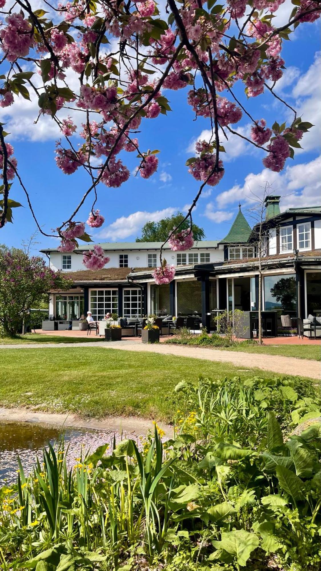 Hotel Deimann Schmallenberg Kültér fotó